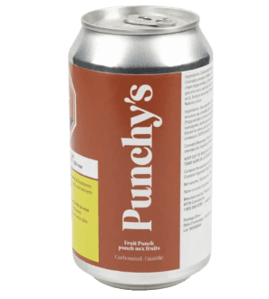 Fruit Punch Sparkling Beverage