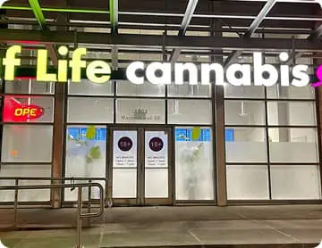 Leaf Life Stampede Station